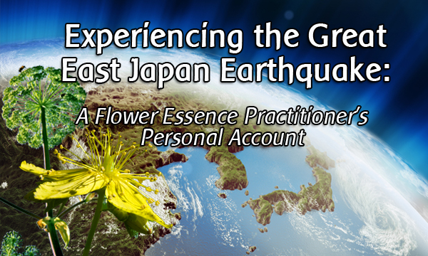 practitioner's account of earthquake