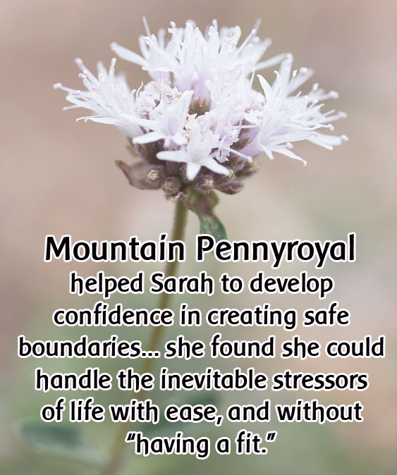 mt. pennyroyal