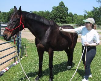 Marcia misting Dresser